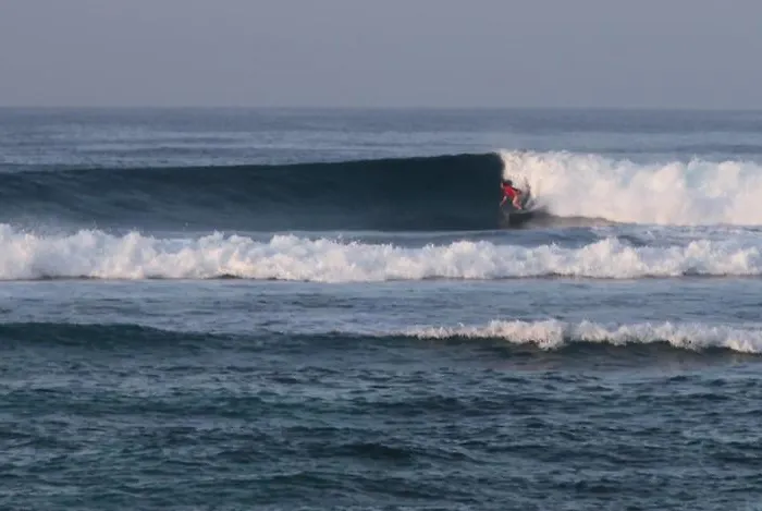 Paz Bali *